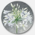 thumbnail image 1 of Designart 'fleur Cleome Splash I' Ferme Métal Cercle Art Mural - Disque de 36, 1 of 5