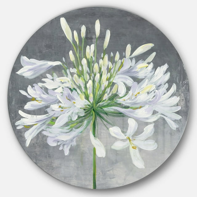 Designart 'fleur Cleome Splash I' Ferme Métal Cercle Art Mural - Disque de 36
