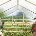 thumbnail image 7 of CazToi 6x10 FT Outdoor Walk-in Aluminum Frame Greenhouse with Roof Vent & Polycarbonate Panels & Sliding Door, 7 of 7