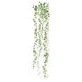 thumbnail image 1 of RoomMates String Of Pearls Vine Peel And Stick Wall Decals, 1 of 3