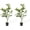 Yellow, variant on Senfot 2PCS 115cm Yellow Artificial Orchid Tree Plastic Lifelike Faux Blossom Plant Low Maintenance Stylish Floor Ornament for Living Room Office Indoor Decor