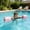 Pink, variant on Adult Water Dumbbell Floating Bar, EVA Buoyancy Pool Fitness Equipment, Adjustable Swim Training Rod, Aqua Aerobics, Water Therapy, Home Pool Exercise Purple