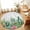 Gray, variant on Entryway Rug 2'x3', Summer Botanical Kitchen Runner Rugs Non-Slip Carpet Mats, Tropical Cactus Succulents Gray Plaid Bedside Rugs Runners Washable Floor Carpet for Bathroom Laundry Room