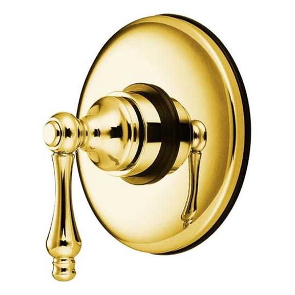 Volume Control  Polished Brass