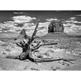 thumbnail image 2 of Drost, David 32x25 Gold Ornate Wood Framed with Double Matting Museum Art Print Titled - BandW Desert View V, 2 of 4