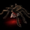 thumbnail image 5 of Halloween Animated Pop-Up Jumping Scary Prank Prop Spring Loaded Furry Horror Decor, for Indoor Party Haunted House Front Porch Yard Tree Doorway Spooky Scene Layout, 5 of 7