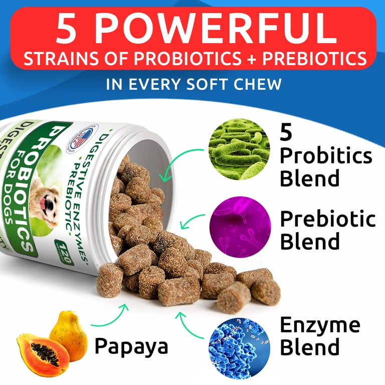 Can You Give Dogs Papaya Pills