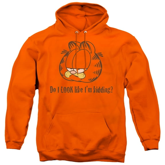 Garfield - Do I Look Like Im Kidding - Pull-Over Hoodie - Large