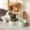 Green, variant on 2-in-1 Pet Food and Water Bowl, Stainless Steel Dog Cat Feeder with Automatic Water Dispenser, Gravity Feeding Station for Small Pets