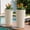 Beige, variant on Front Porch Planters Outdoor Set , Plastic Planters for Outdoor Plants with Drainage, Extra Large Outdoor Planter Pots, Tapered Tall Planters for Front Door & Indoor Plants.