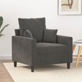 thumbnail image 1 of vidaXL Fauteuil Gris Foncé 60 cm Velours, 1 of 5