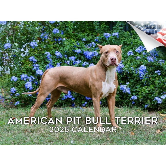 2025 2026 American Pit Bull Terrier Calendar - Dog Breed Monthly Wall Calendar - 12 x 18 Open - Thick No-Bleed Paper - Giftable - Made in USA