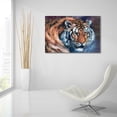 thumbnail image 6 of Epic Art 'Tiger Tales' by Robert Campbell, Acrylic Glass Wall Art, 36"x24", 6 of 8
