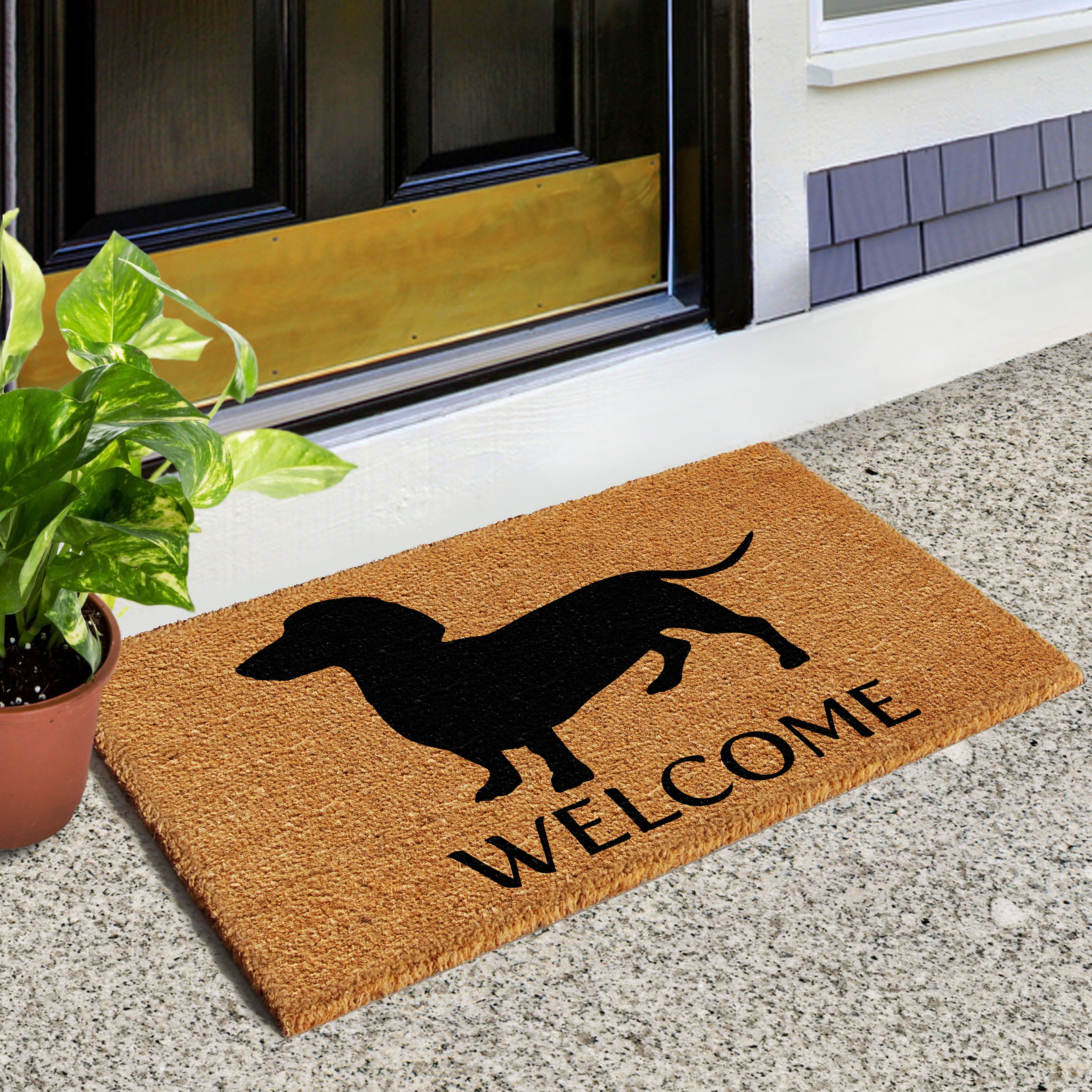 Internet's Best Chenille Dog Doormat -Tan - 60 x 30