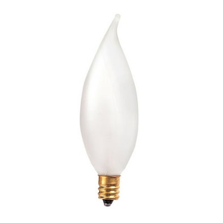Bulbrite Industries Frosted 130-Volt (2700K) Incandescent Light Bulb (Set of 47)