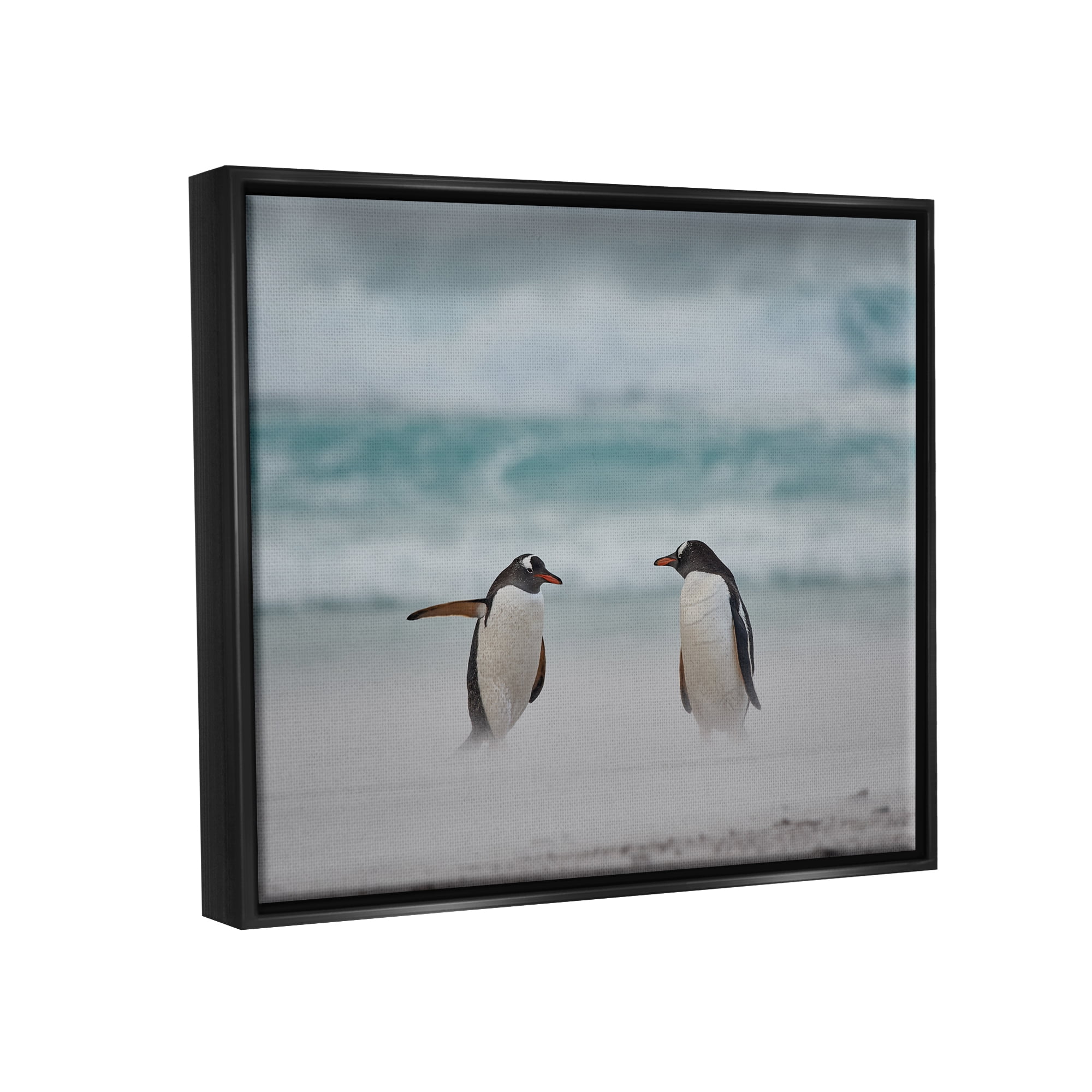 Stupell Industries Penguins on Arctic Beach Animals & Insects Photography Black Floater Framed Canvas Art Print Wall Art, 21 x 17