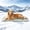 Green, variant on GOOPAWS Dog Cooling Mat, 30" x 20" Non-Slip Self-Cooling Dog Bed Pads for Medium Dogs Summer Cooling Indoor Outdoor Kennel Floor Use