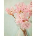 thumbnail image 2 of Stalus, Judy 15x18 White Modern Wood Framed Museum Art Print Titled - Azalea I, 2 of 4