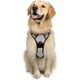 thumbnail image 1 of Rabbitgoo Arnés para Perros, Arnés para Mascotas sin Tirones con 2 Clips para Correa, Chaleco para Perros Acolchado Suave y Ajustable, Chaleco Oxford Reflectante para Mascotas sin asfixia con asa de f, 1 of 4