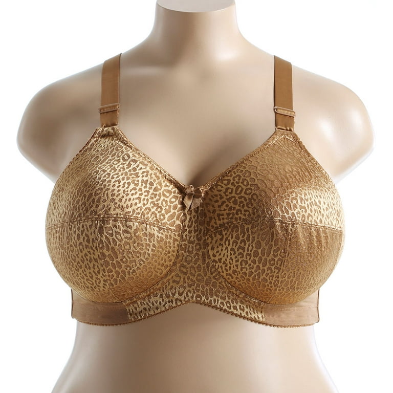 Elila Leopard Lace Softcup Bra (1203) : : Clothing, Shoes &  Accessories