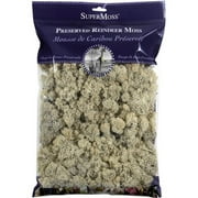 Supermoss 7007061 8 oz Preserved & Bagged Natural Reindeer Moss