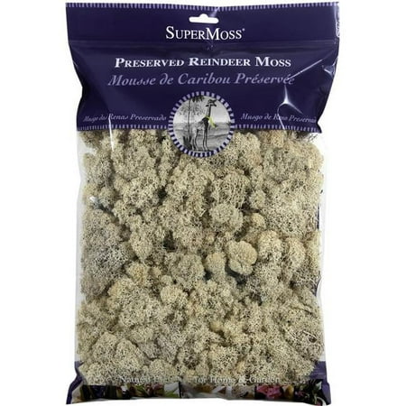 Supermoss 7007061 8 oz Preserved & Bagged Natural Reindeer Moss