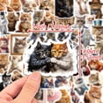 thumbnail image 2 of Paquete de pegatinas divertidas con forma de memes de gatos, 50 unidades, impermeables, 2 of 2