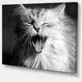 thumbnail image 2 of Chat Blanc Béant - Impression Artistique sur Toile d'Animal, 2 of 3