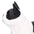 thumbnail image 3 of 10PCS Mini Dog Figurines Toy Set Hand Painted Plastic Simulation Puppy Figures Playset10 Sets, 3 of 4
