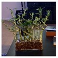 thumbnail image 3 of WGV Rectangle Block Glass Vase Bulk, Width 4", Length 12", Height 4", Clear Long Floral Container, Candle Holder for Home Office Wedding Decor, 8 Pieces, 3 of 8