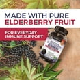 thumbnail image 4 of BioSchwartz Advanced Formula Elderberry Gummies with Vitamin C and Zinc, Immune Support, 60 Count, 4 of 8