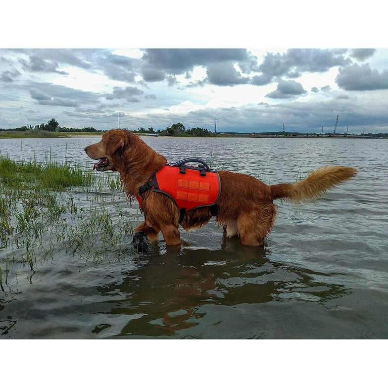 Multi Purpose Dog Backpack Life Size Large