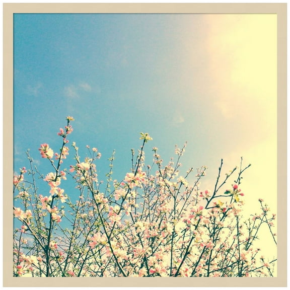 Amanti Art Springing Pink I Wood Framed Wall Art Print