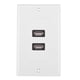 thumbnail image 1 of Panel de placa de pared, puerto dual USB 2.0, placa de pared USB, diseño elevado, 1 of 10