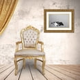 thumbnail image 3 of Flaherty, Dennis 14x11 Gold Ornate Wood Framed with Double Matting Museum Art Print Titled - California, Death Valley NP Weathered cow skull, 3 of 4