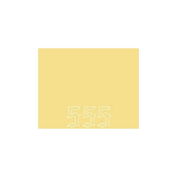 555: Angel Number - 555 (Paperback)