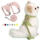 thumbnail image 2 of Lindo juego de arnés y correa para mascotas para perros pequeños y medianos, correa para pasear gatos, chihuahua, conejo, chaleco, arnés, collar para caniche, correa, accesorios para perros, 2 of 5