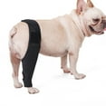 thumbnail image 1 of Pet Dog Knee Brace Adjustable Multifunctional Protective Gear With Magic Stickers For Wounds Heals, 1 of 9