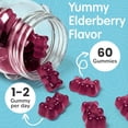 thumbnail image 3 of Elderberry Gummies for Kids with Vitamin C & Zinc | Kids Immune Support | Daily Defense During Seasonal Changes | Natural Antioxidant Support for Immune Health | 30 Gummies, 3 of 7