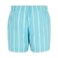 thumbnail image 2 of Regatta Shorts de Bain à Rayures pour Hommes Loras, 2 of 4