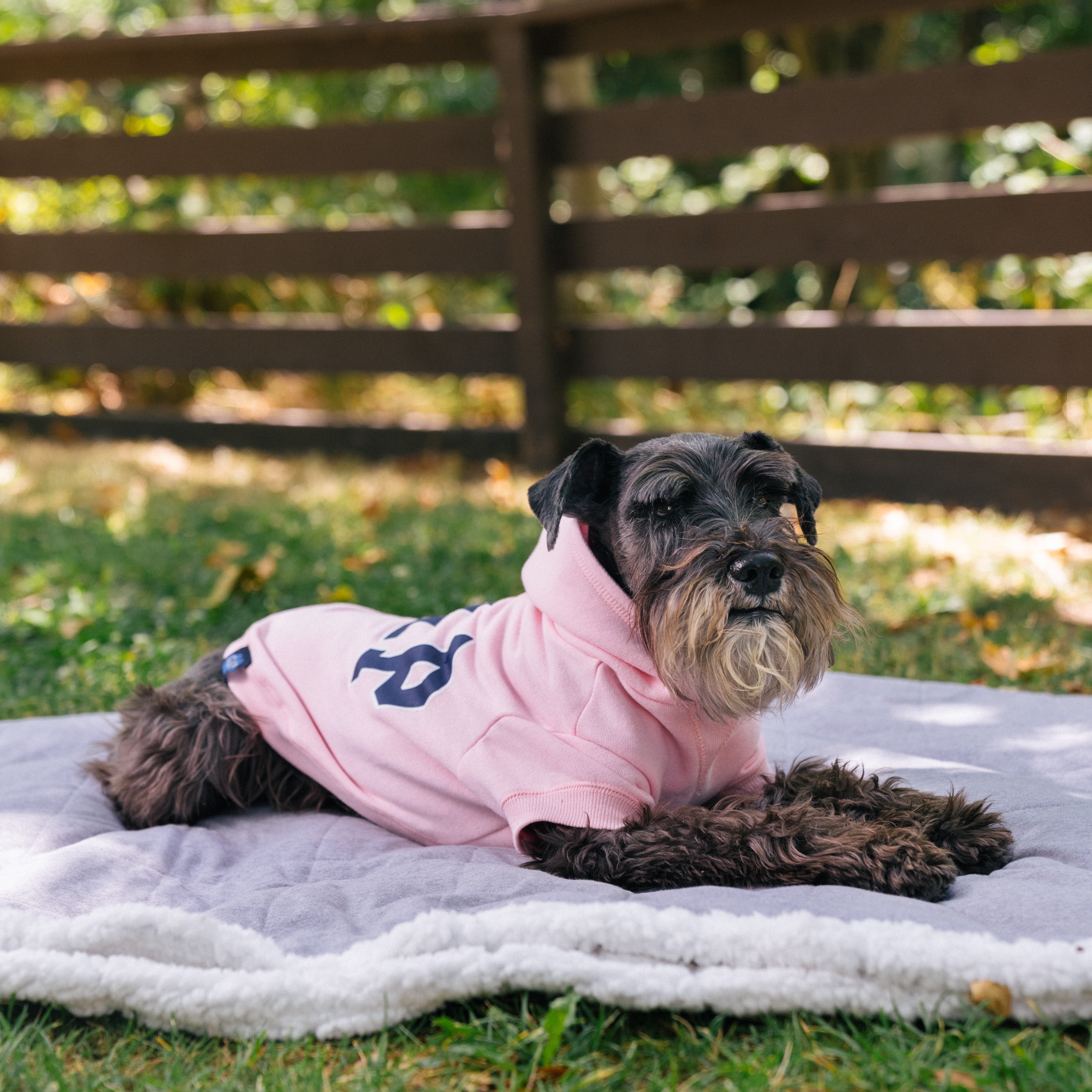 Gap Pet, Dog Clothes, Pink Logo Print Pet Pajama 