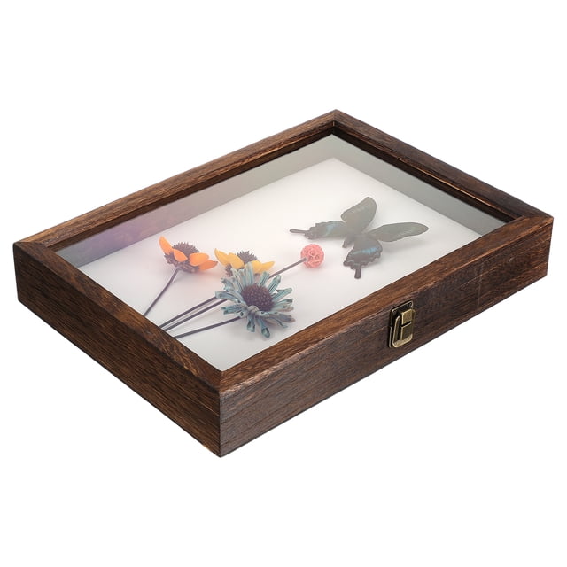 Specimen Display Box Specimen Case Specimen Holder Specimen Frame Case shadow box frame