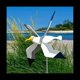 thumbnail image 5 of de Viento de Gaviotas, de Viento Seagul JardíN Spinner Loro Gaviota PáJaro Juguetes para NiñOs, Parte Superior NeumáTica, 5 of 5