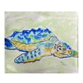 thumbnail image 1 of Betsy Drake BK661 Loggerhead Turtle Fleece Throw, 1 of 1