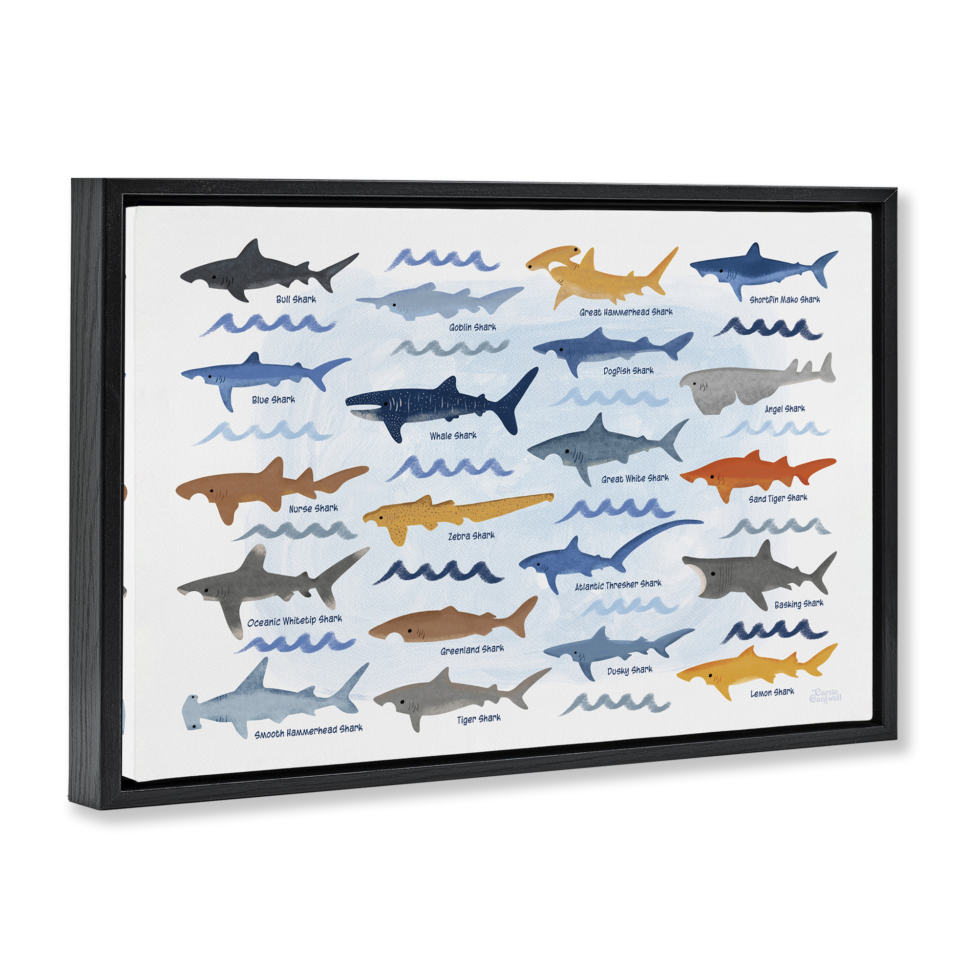 Stupell Industries Various Shark Breeds Coastal Painting Black Floater Framed Art Print Wall Art, 31 x 21