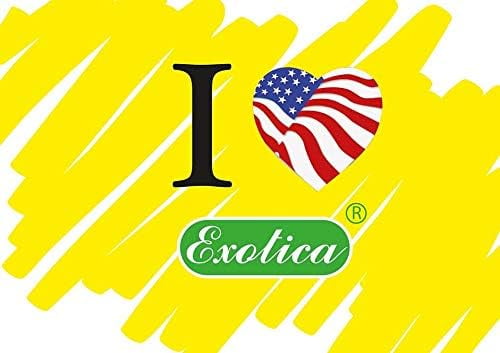 Exotica Car Air Freshener | Spill-proof Can | Organic | For Home & Auto | Long Lasting Freshness | (Pack of 12) (Coconut)