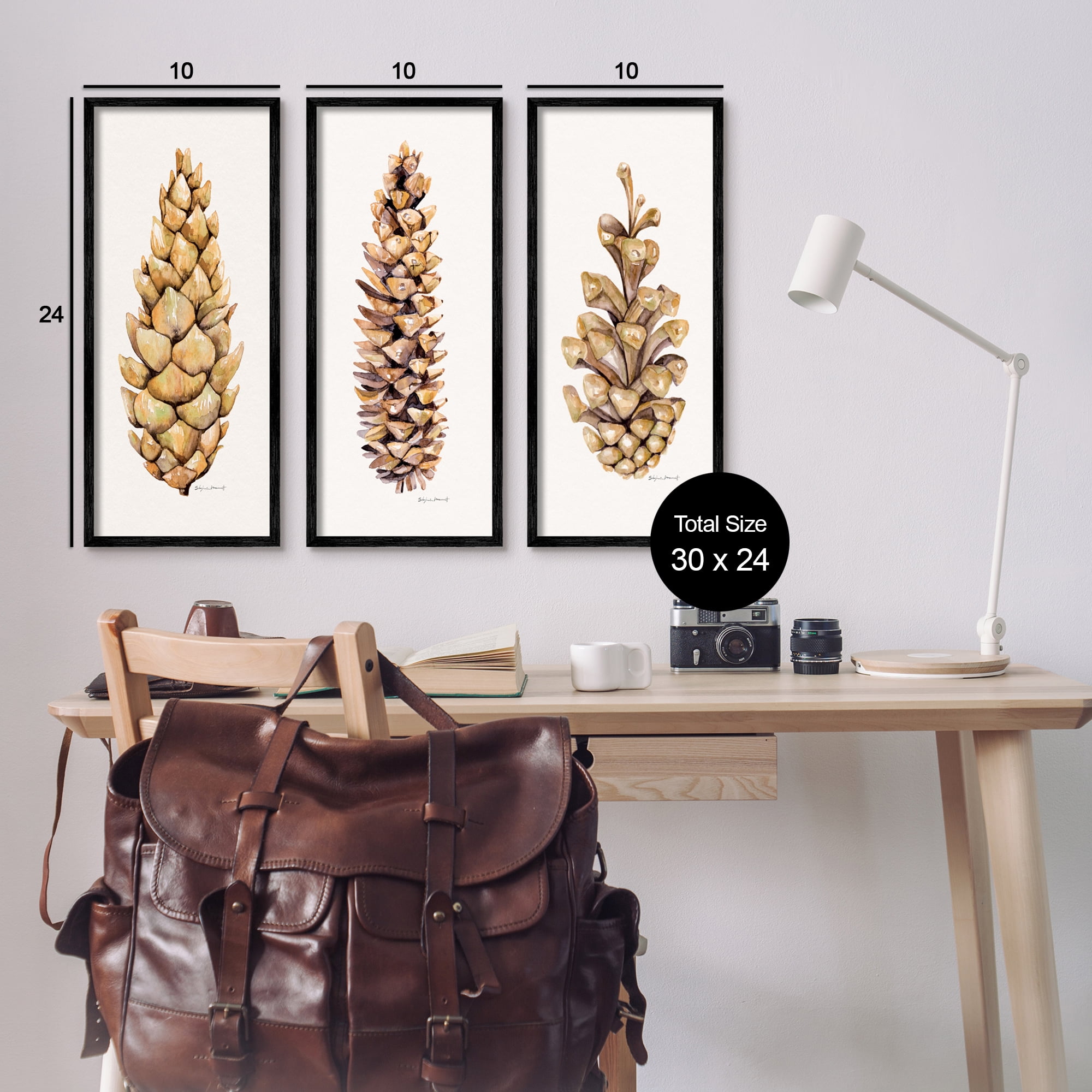 Stupell Botanical Pinecones Woodland Plants Botanical & Floral Painting Black Framed Art Print Wall Art, Set of 3