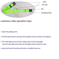 thumbnail image 5 of Correa LED de nailon para perro, seguridad nocturna, parpadeante, que brilla en la oscuridad, luminosa, fluorescente, para mascota, 5 of 5