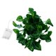 thumbnail image 2 of Moyic Tira de luces LED para manualidades, lámpara de decoración para patio, herramienta de iluminación para exteriores, aniversario, fiesta, 2M, 20 Kits de decoración para fiestas 10M 100 luces Moyic HA063147-02, 2 of 6