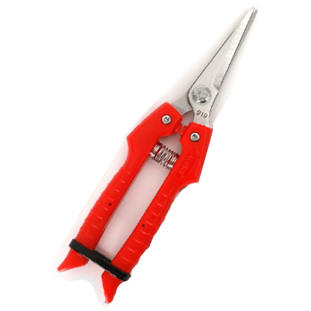 Sharpbeaked pruning shears, fruit and fruit tree tool picking shears